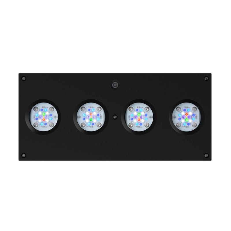 AI Hydra 64HD Black
