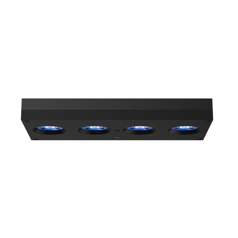 AI Hydra 64HD Black