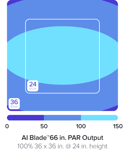 AI Blade Coral Grow - 66 Inch