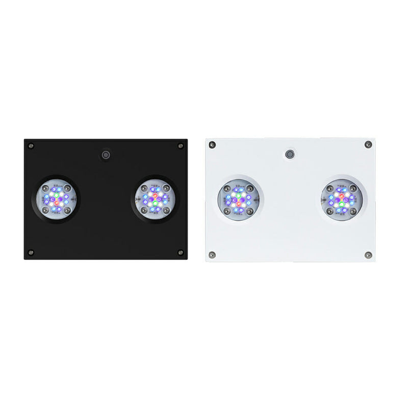 AI Hydra 32HD Triple Package