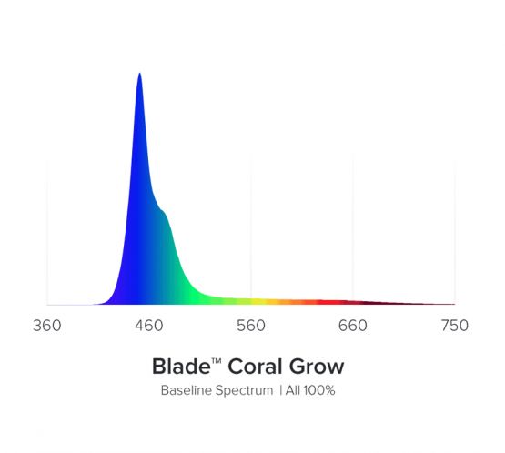 AI Blade Coral Grow - 21 Inch