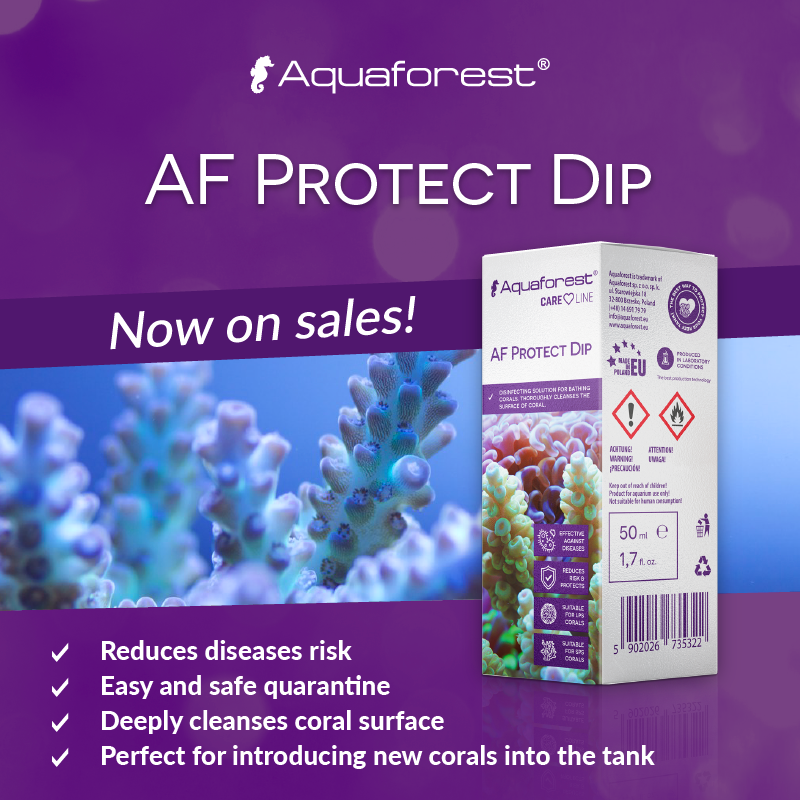 Aquaforest Protect Dip 10ml