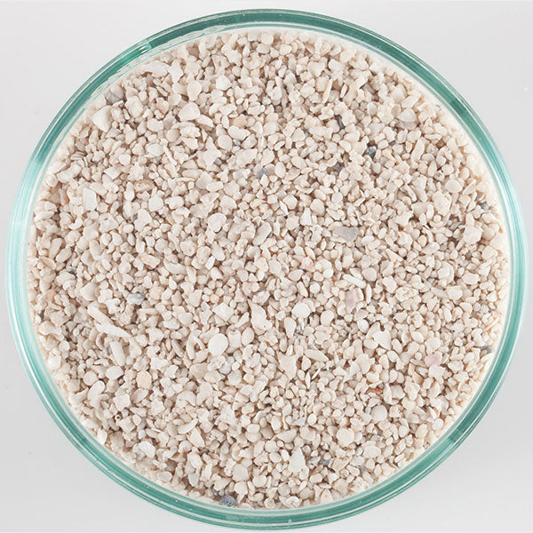 CaribSea Arag-alive Special Grade Live Sand (20lb)
