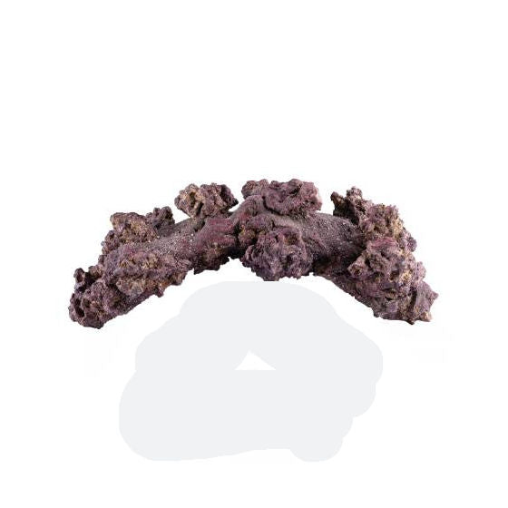 Caribsea Liferock Arch 18 Inches