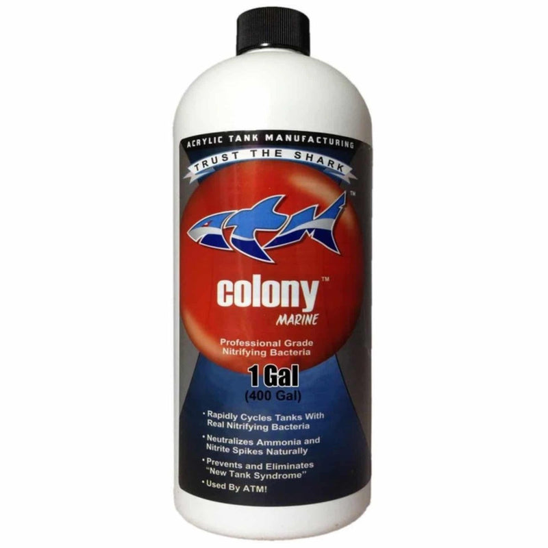ATM Colony Saltwater 1 Gallon