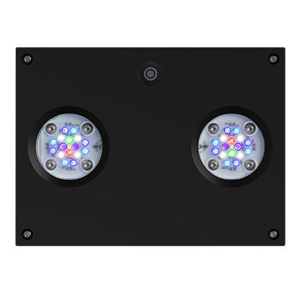 Ai Hydra 32HD black水槽用LED + Hanging Kit AI Hydra 32HD Black — Kraken Corals