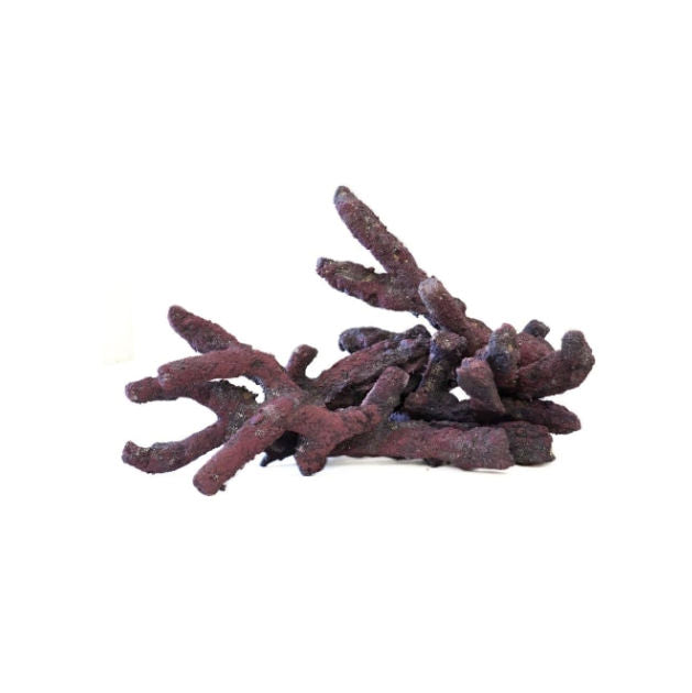 Caribsea Liferock Belize Branch 20Lb Box