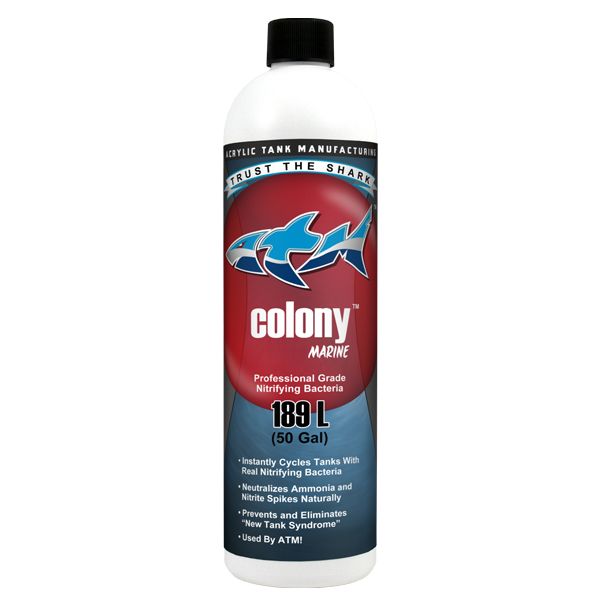 ATM Colony Saltwater 16oz
