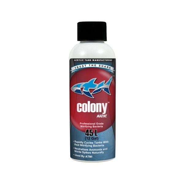 ATM Colony Saltwater 4oz