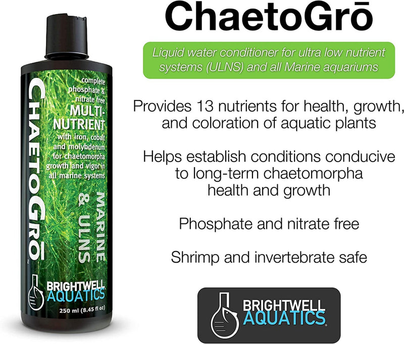 Brightwell Aquatics Chaeto Grow 250ml