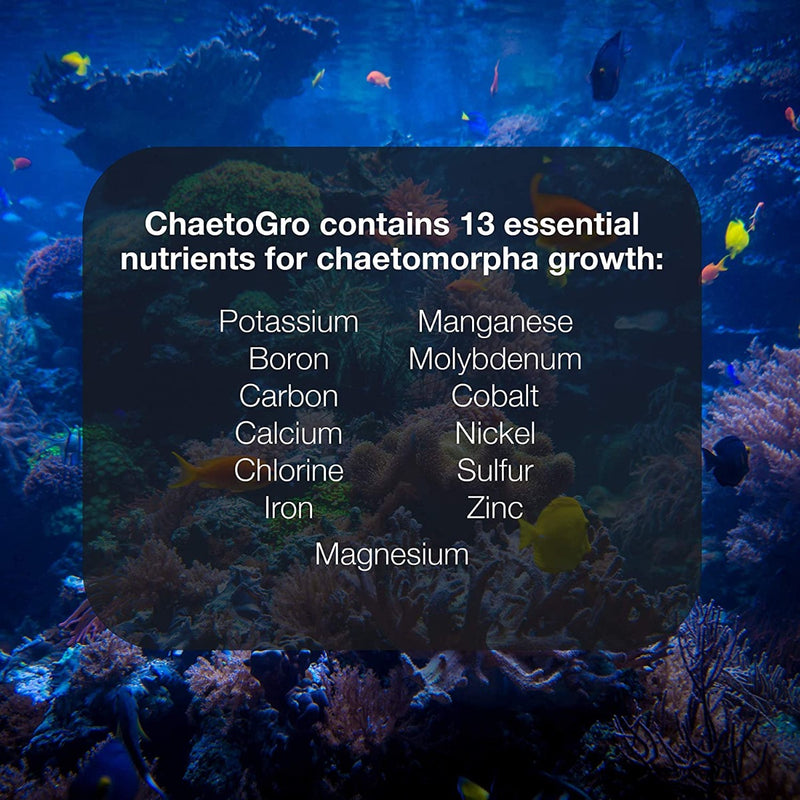 Brightwell Aquatics Chaeto Grow 250ml