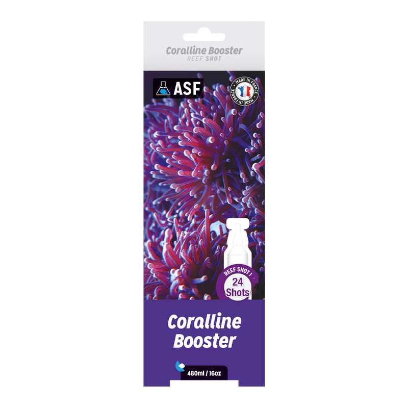 ASF Coralline Booster 480ml - 24 shots