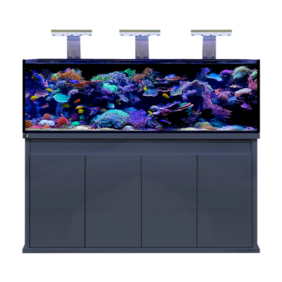 D-D Reef Pro 1800 Aquarium