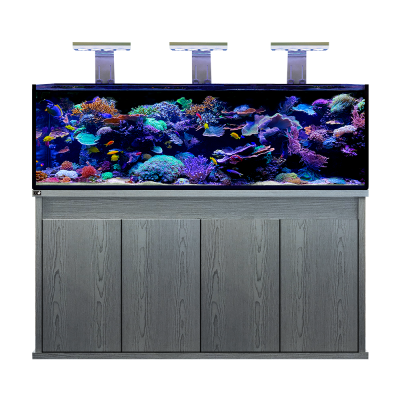 D-D Reef Pro 1800 Aquarium