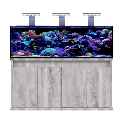 D-D Reef Pro 1800 Aquarium