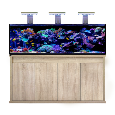 D-D Reef Pro 1800 Aquarium