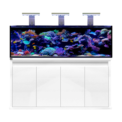 D-D Reef Pro 1800 Aquarium
