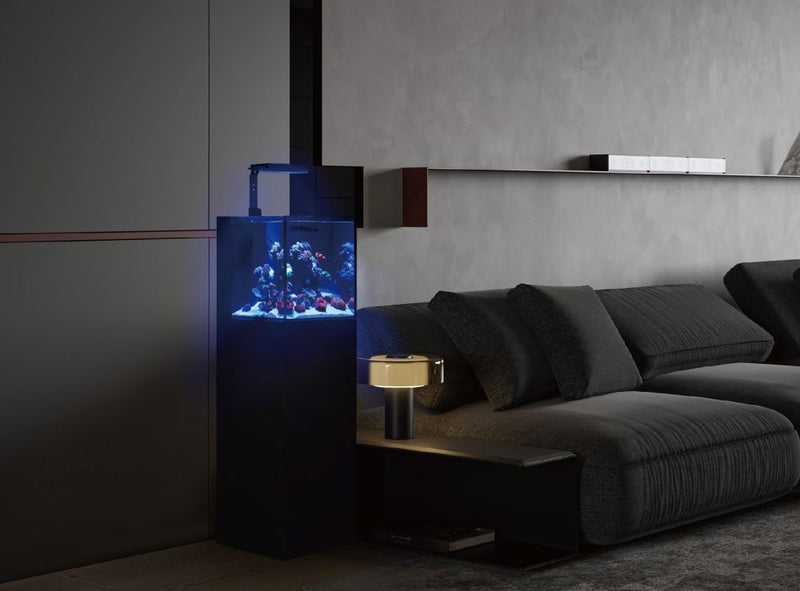 Maxspect Dice AIO Nano