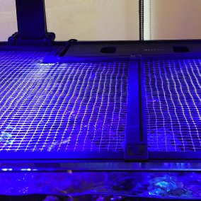 Red Sea Aquarium Net Mesh Lid Screen 48" / 120cm x 80cm Inc cutout