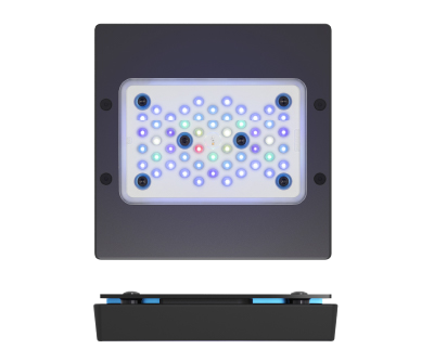EcoTech Radion XR15 G5 Blue — Kraken Corals
