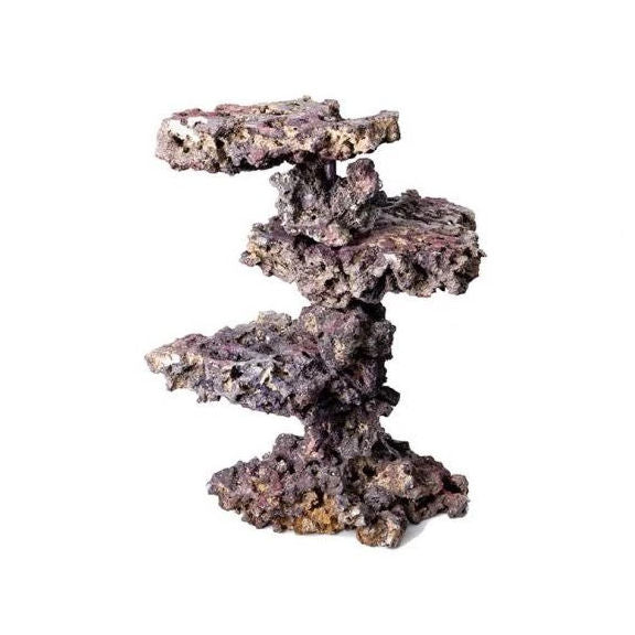 Caribsea Liferock Coral Tree
