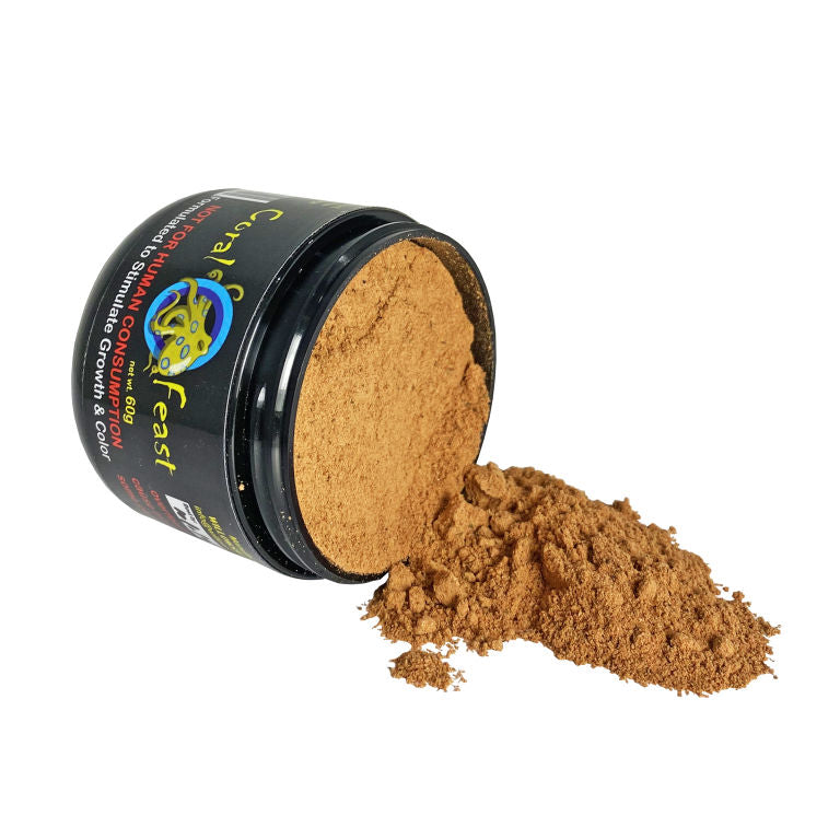 Willows Reef Coral Feast 60g