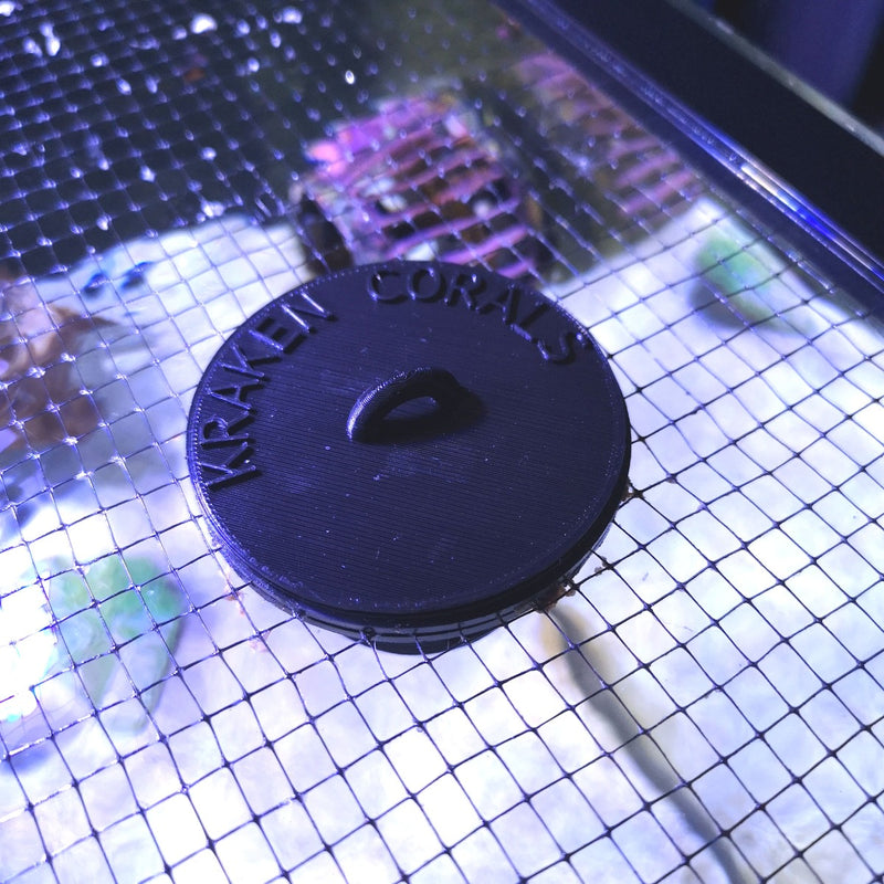 Kraken Corals D-D Feeding Portal Defroster Insert