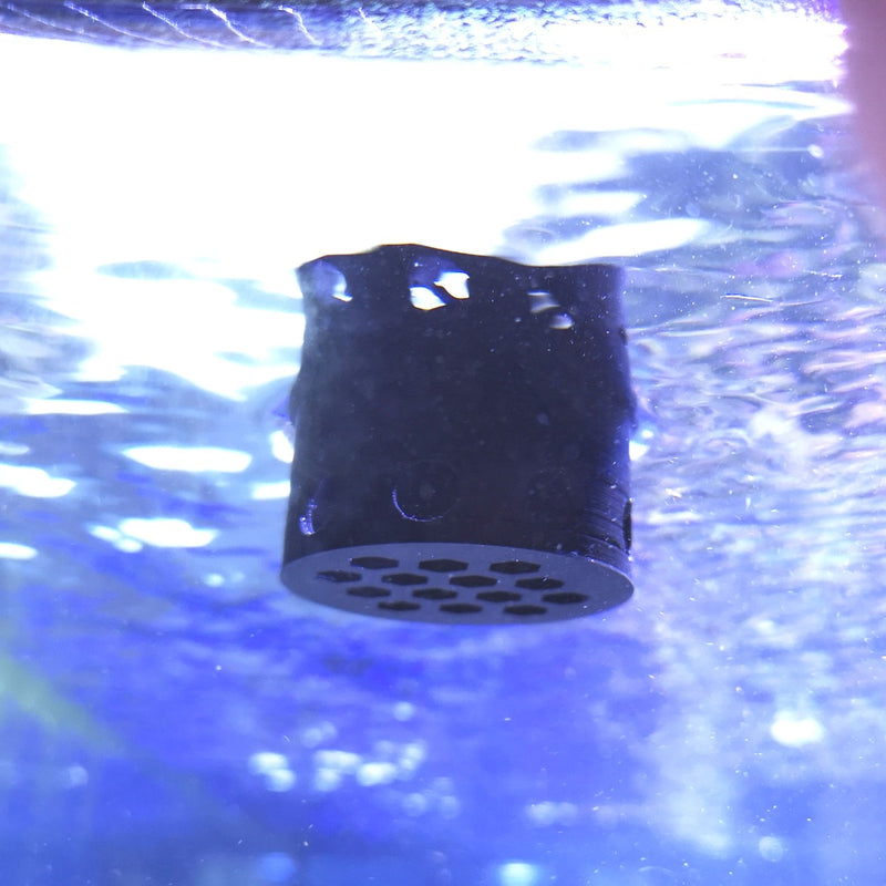 Kraken Corals D-D Feeding Portal Defroster Insert Extra Tall