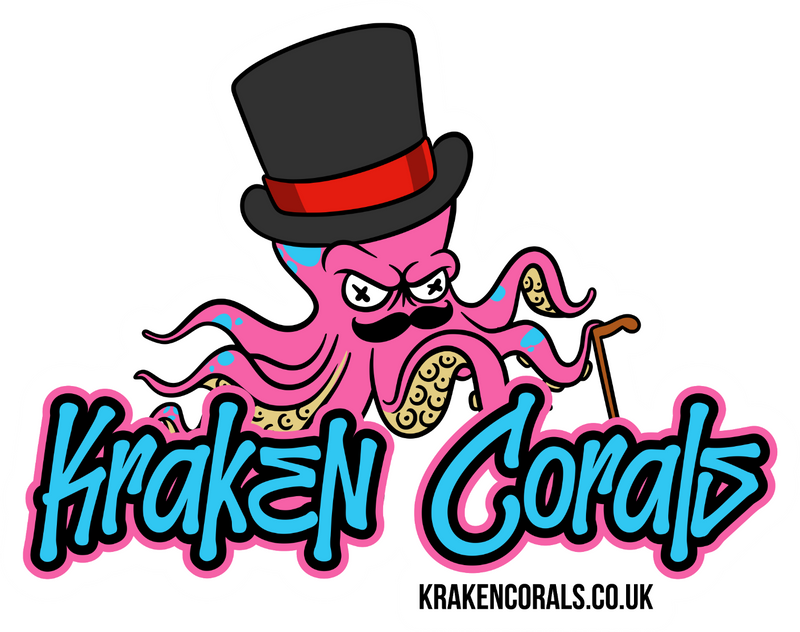 Kraken Corals Sticker - Finest Kraktopus