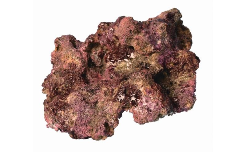 TMC EcoReef Rock Mix F - Plate Mix