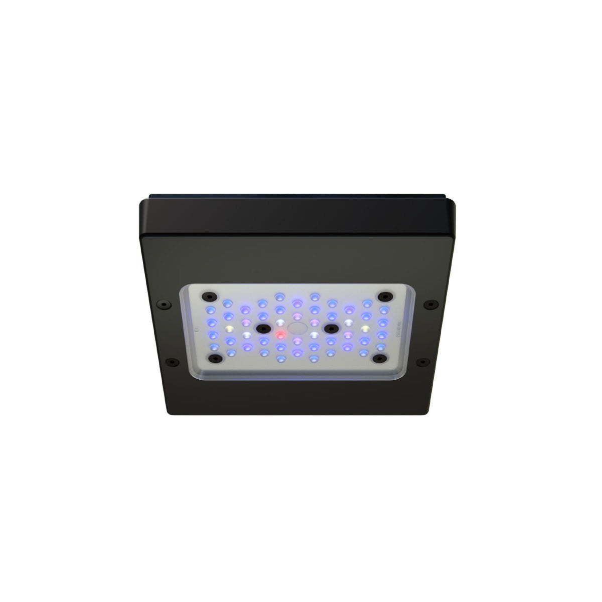 Ecotech Radion Gen 6 XR15 Blue — Kraken Corals