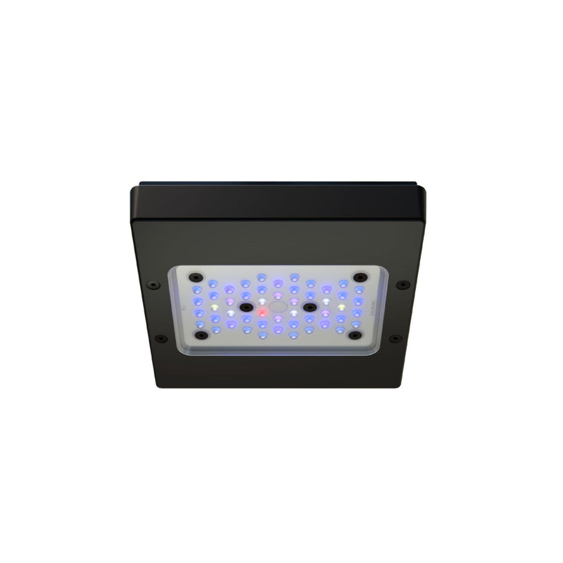 Ecotech Radion Gen 6 XR15 Blue