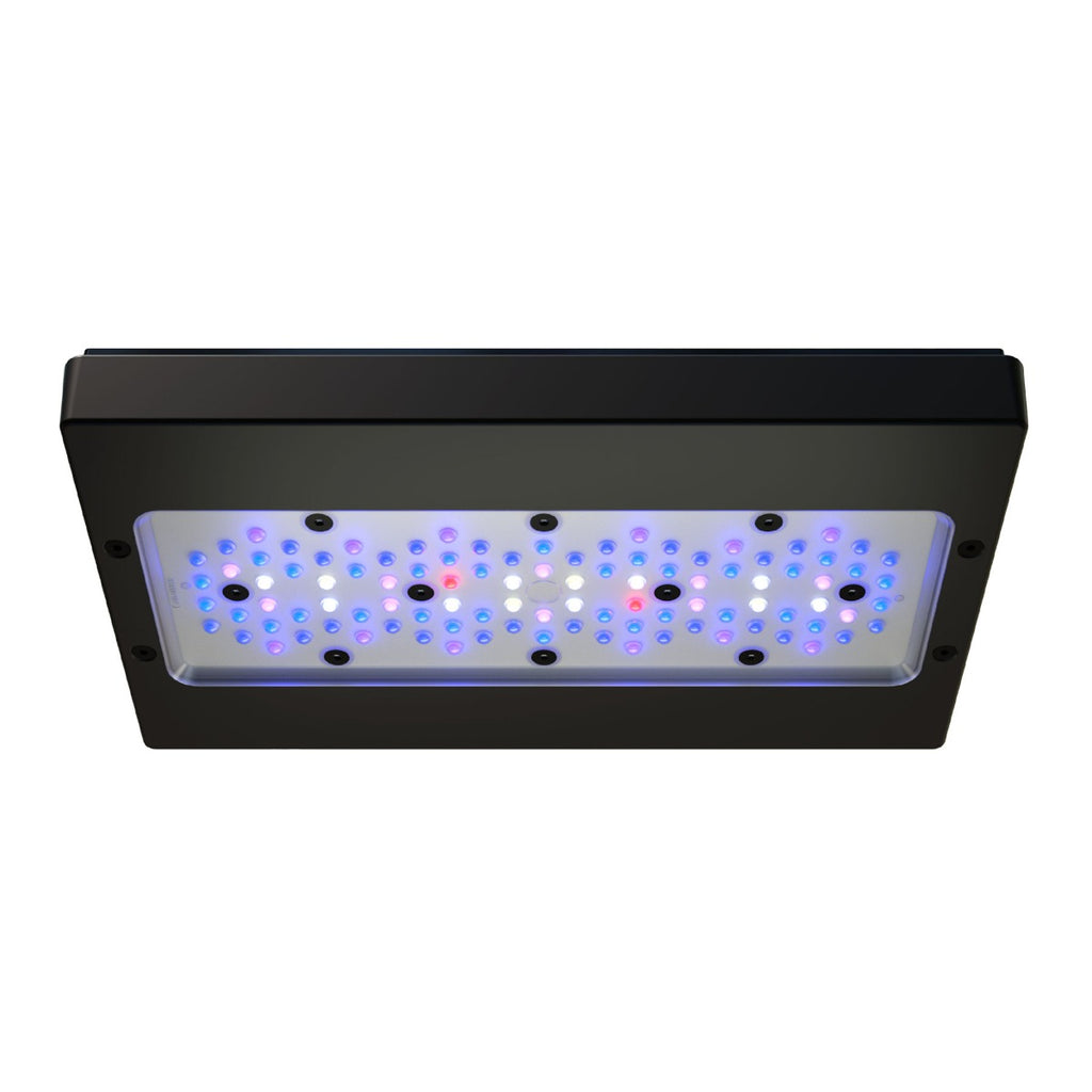 Ecotech Radion Gen 6 XR30 Blue — Kraken Corals