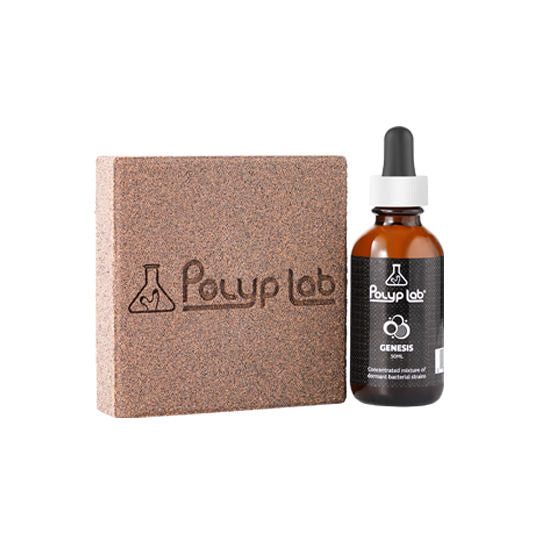 Polyplab Genesis Rock Twin Pack + Booster