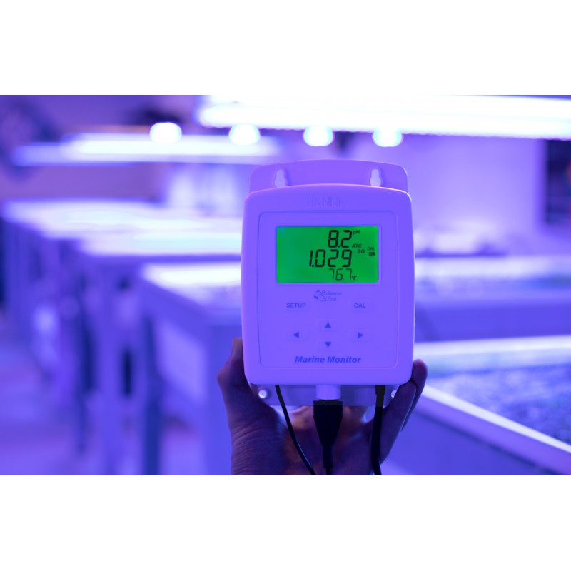 Hanna HI-981520 Marine Monitor pH, EC, Salinity, Temperature