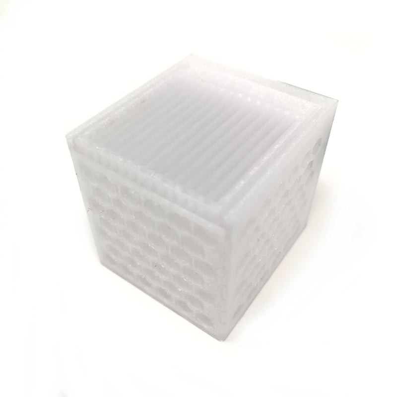 Kraken Corals Mushroom Acclimation Box