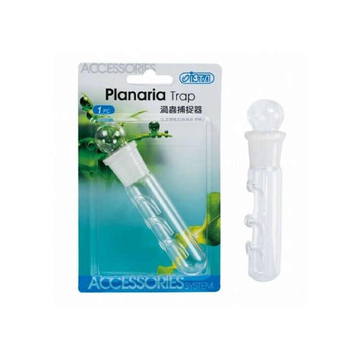 Ista Planaria Flatworm Worm Trap