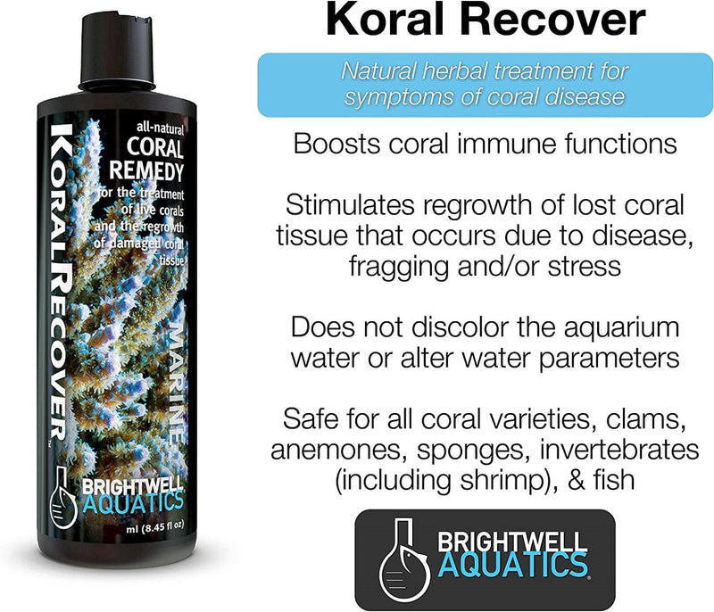 Brightwell Aquatics Koral Recover 250ml
