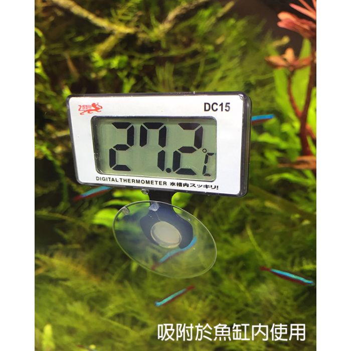 Ista LCD Digital Aquarium Thermometer