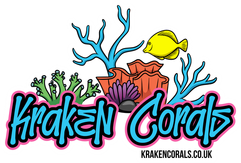 Kraken Corals Sticker - Coral Reef