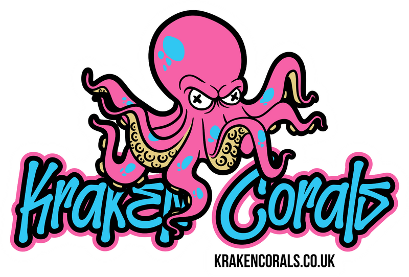Kraken Corals Sticker - Kraktopus Original