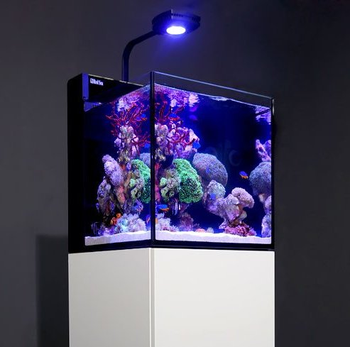 Red Sea Max Nano G2 Series Ultimate Reef with ReefLed 50 Lighting (excl cabinet)