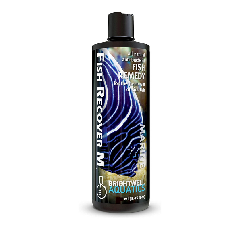 Brightwell Aquatics Fish Recover Marine 250ml