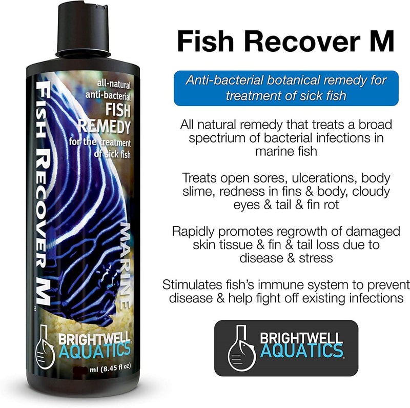 Brightwell Aquatics Fish Recover Marine 250ml