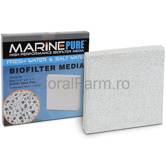 Marine Pure Plate 20x20x2.5cm