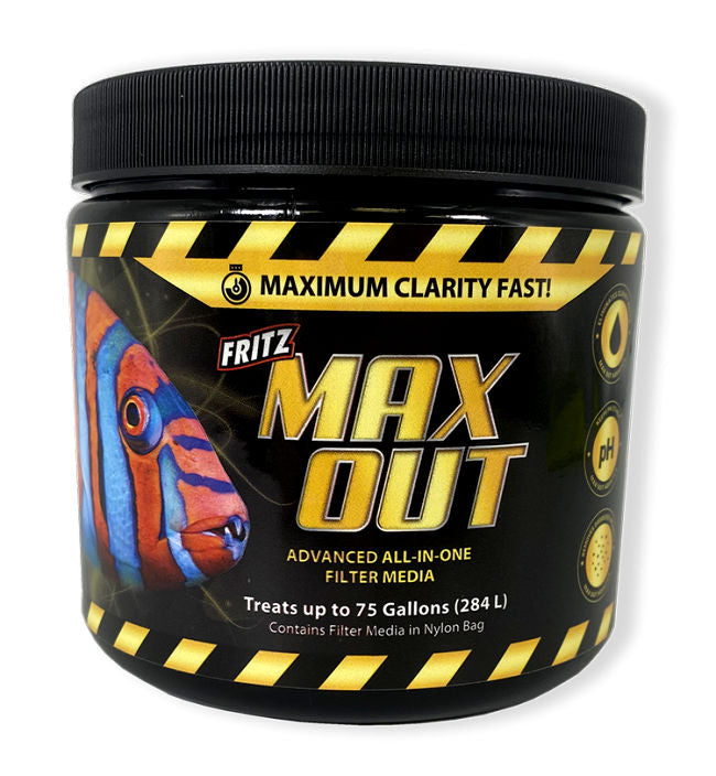 Fritz Max Out
