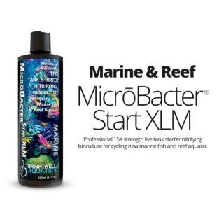 Brightwell Aquatics BacStart XLM Marine Starter Culture 125ml