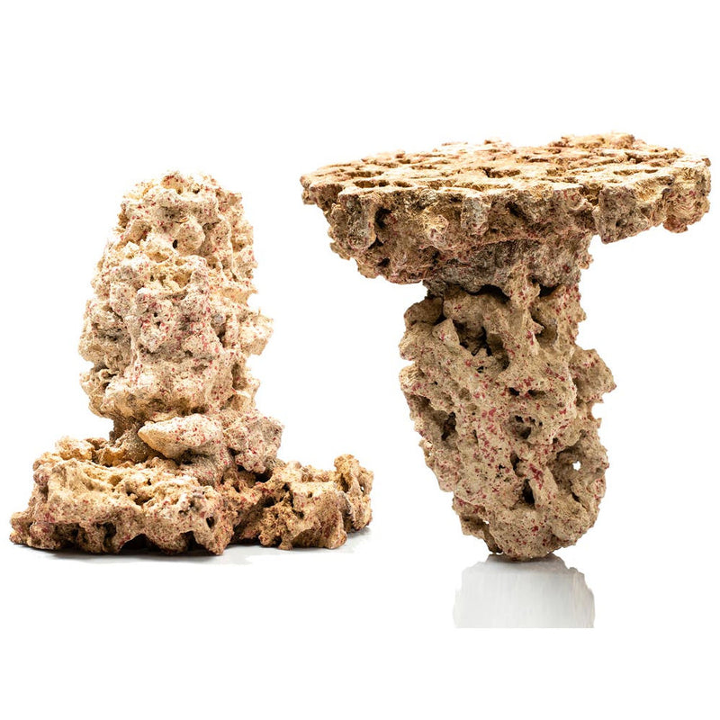 Caribsea Liferock Shrooms 2Pk