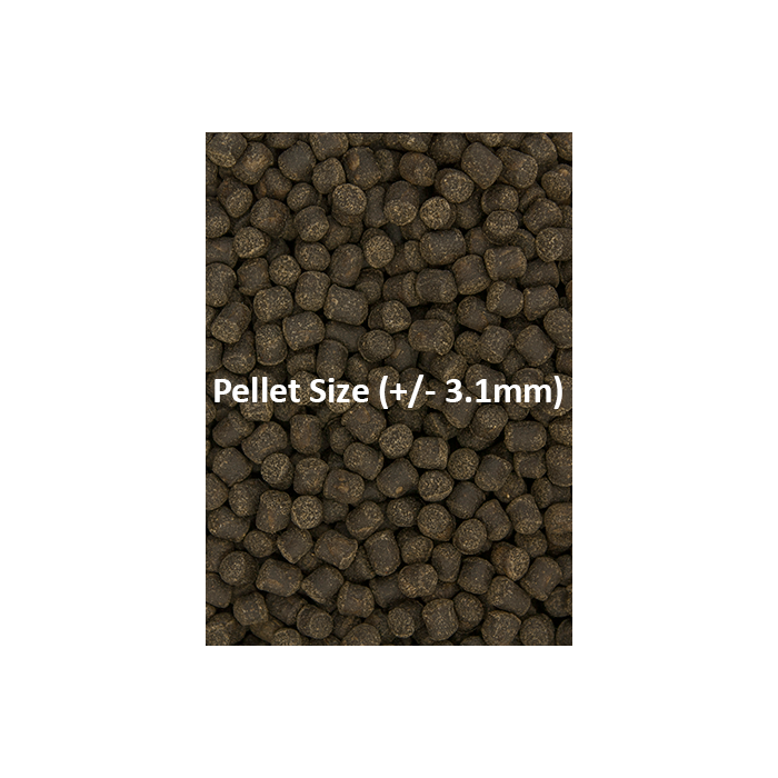 Ocean Nutrition Formula Two Pellet Med 200g