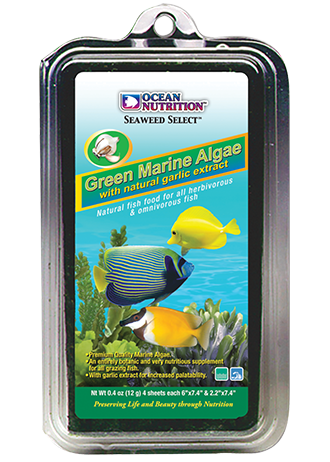 Ocean Nutrition Seaweed Green 30G + Free Clip